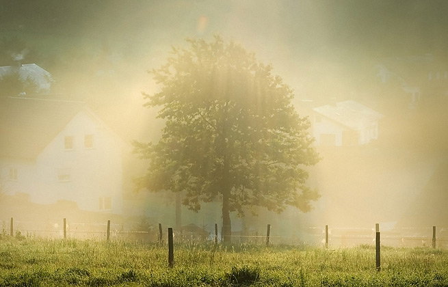 【MAC苹果电脑】完美适配的ddos在线攻击测试网站