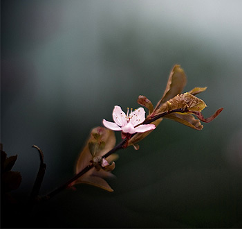 令人惊叹的ddos在线攻击测试网站
